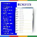 RankMate Designs (3).webp
