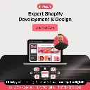 Shopify Development Service. Mr-LPK.COM (2).webp